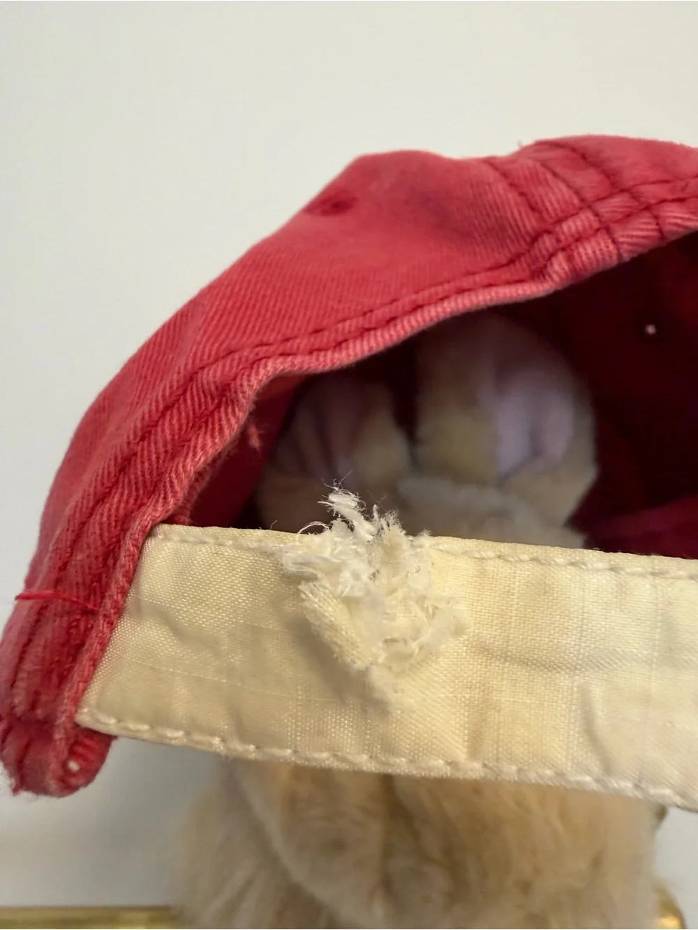 Kids Red Dino Embroidered Baseball Hat